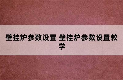 壁挂炉参数设置 壁挂炉参数设置教学